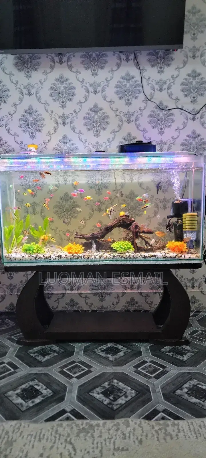 Ready Made Aquarium