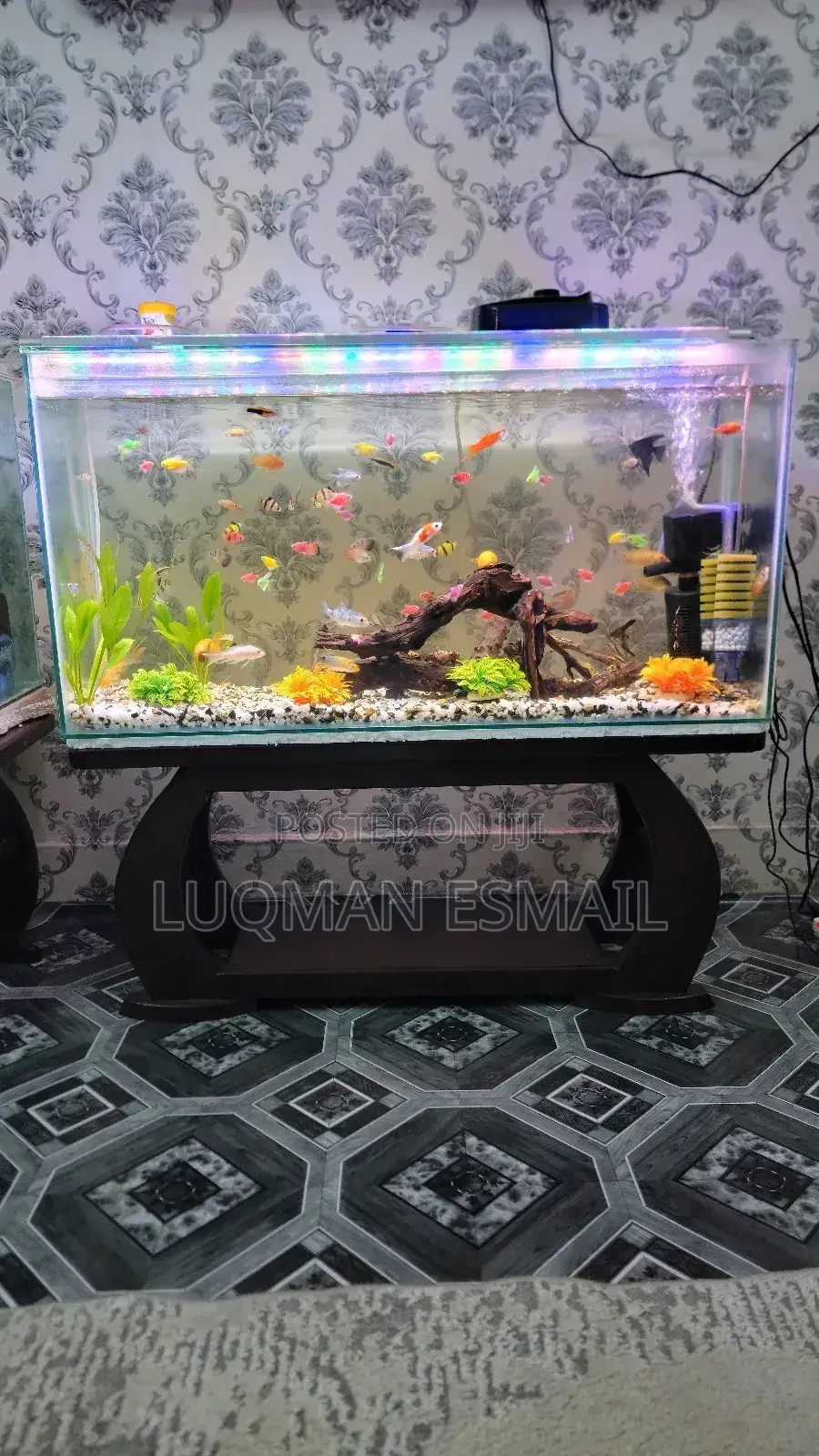 Ready Made Aquarium
