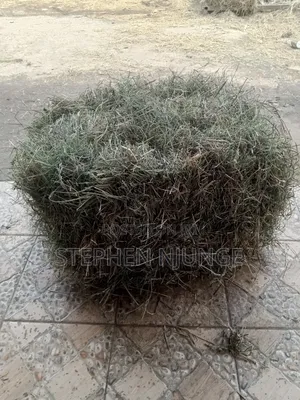 Hay Farm Production