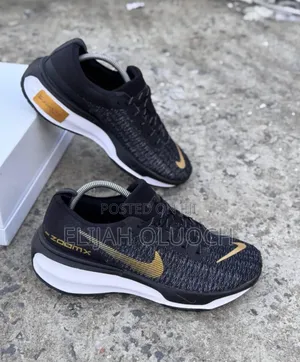 High Quality Nike Zoom (Invincible Run 3)