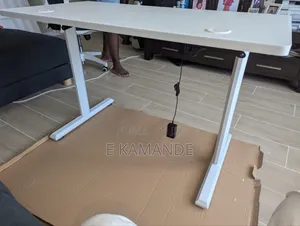 Office Ergonomic Electric Adjustable Standing Desk