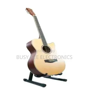 Ibanez Acoustic Guitar