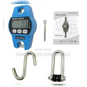 Mini Crane Scale