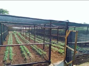 Shade Nets Protecting Crops From Excessive Heat,Insect Pests