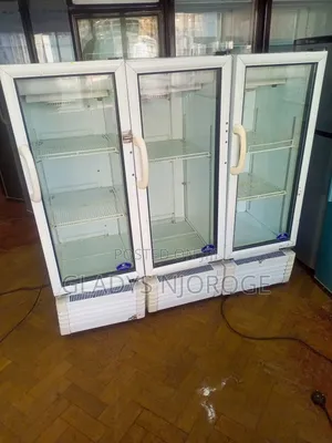 Affordable Mirror White Display Fridge