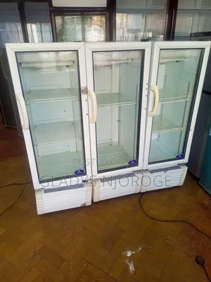 Affordable Mirror White Display Fridge