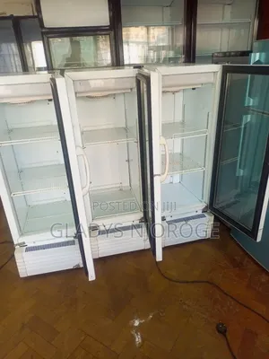 Affordable Mirror White Display Fridge