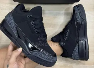 Air Jordan 3 Black Cat