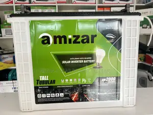 Amizar 12v 200ah Tall Tubular Battery