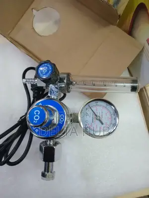 220v Co2 Regulator