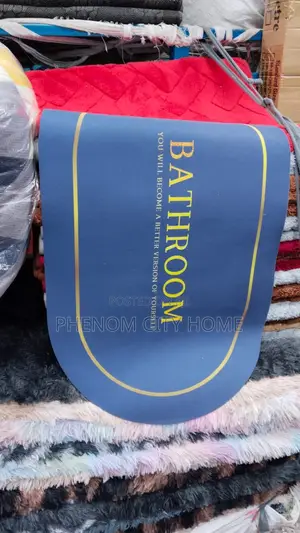 Luxurious Blue Absorbent Door Mat