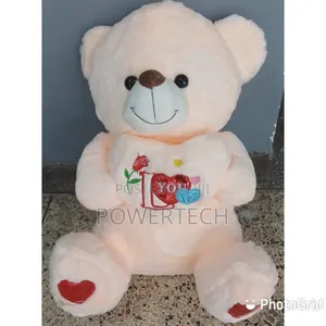 *60 Cm Ted Bear*