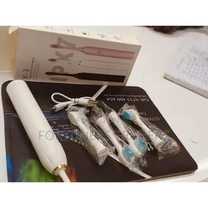 Electric Toothbrush With 4 Heads