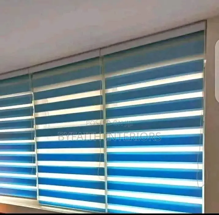 Blue Zebra Blinders