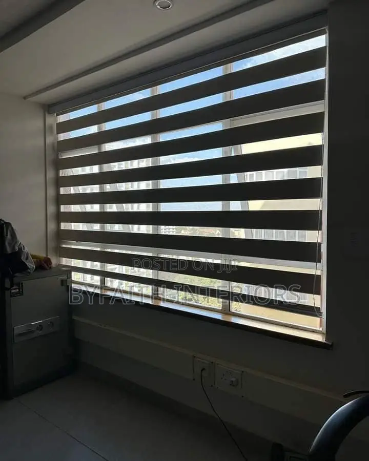 Executive Zebra Blinds