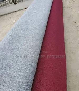 Light Grey Wall to Wall Delta Carpet for House