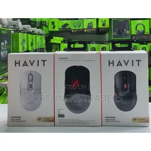 Wireless Mouse Dual Mode Havit