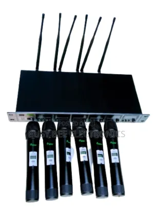 BNK Es600 6 Wireless Microphone