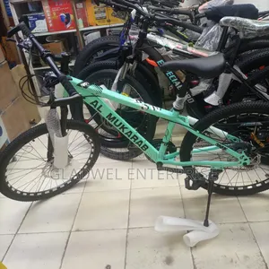 Size 24 High Speed Mountain Bike With Gear/Disk Brakes