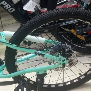 Size 24 High Speed Mountain Bike With Gear/Disk Brakes