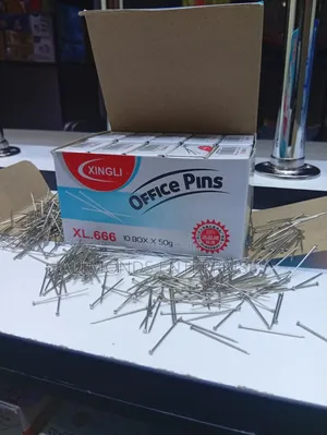 A Carton of Office Pins ( 10 Packets of 50g Each Inside)