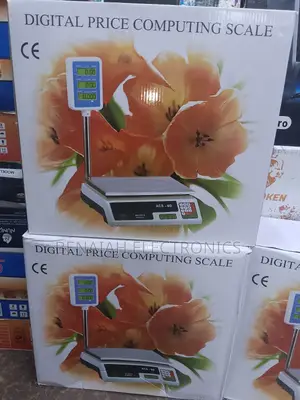 Commercial Acs 30kg Price Computing Digital Scale