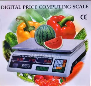 Digital Price Computing Scale 4499