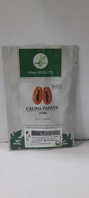 Calina Papaya ( Ipb9) 1gram Stawi Seeds Ltd