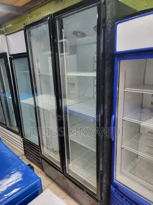 Bottom Mounted Twin Door Display Fridge