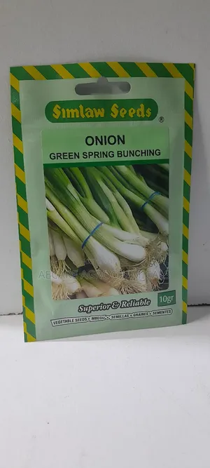 Green Spring Bunching Onion 10g, 25g Seeds