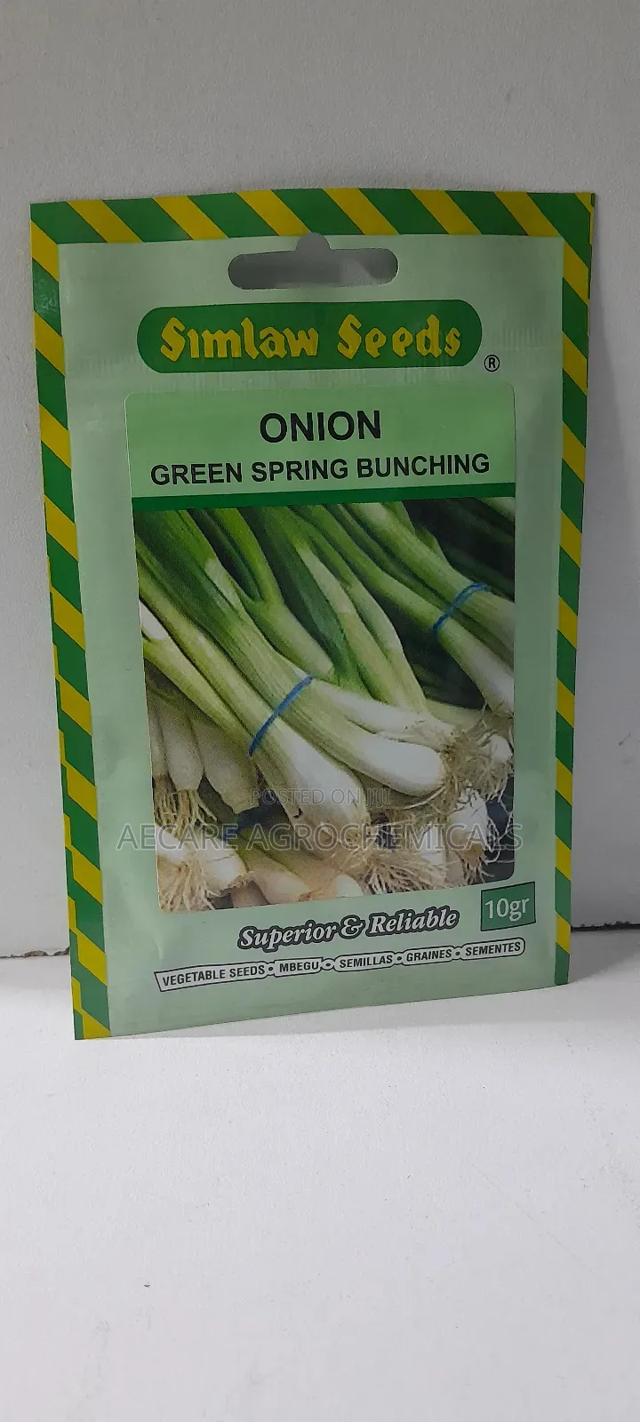 Green Spring Bunching Onion 10g, 25g Seeds