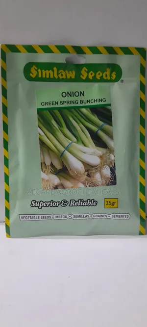 Green Spring Bunching Onion 10g, 25g Seeds