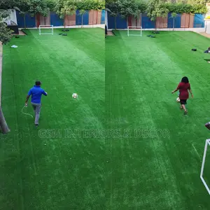 Artificial Green Grass Carpets for Schopl Playfield