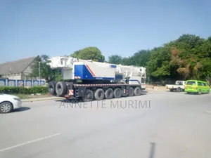 Cranes for Hire in Mombasa and Nairobi