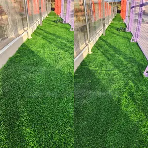 Artificial Turf Green Carpets Fake Grass Carpets 2m