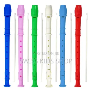 Dessicant Recorder / Flute