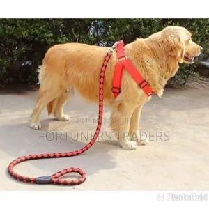 Dog Leash / Harness