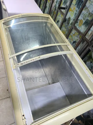 Glass Freezer [ Display Freezer)]Working $