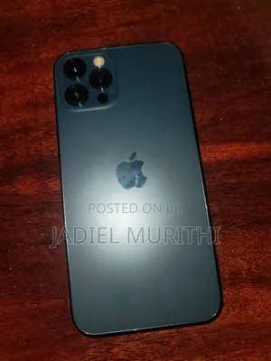 Apple iPhone 12 Pro 256 GB Gray