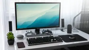 Web Developer