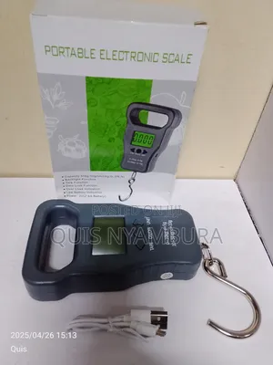 Portable Electronic Scale 50kg Machine/Pocket Scale