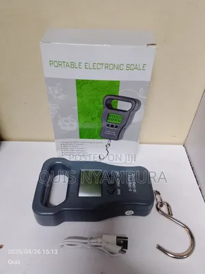 50kg Digital Weight Scale Machine/Electronic Scale