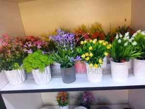 Artificial Home Decor Plants