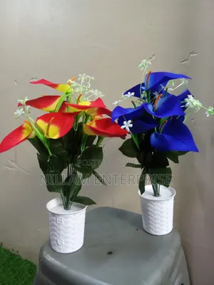 Artificial Home Decor Plants