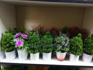 Artificial Home,Office ,Studio Decor Plants