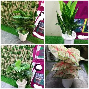 Artificial Plants