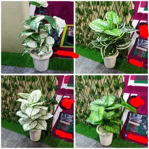 Artificial Plants