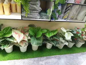 Artificial Plants