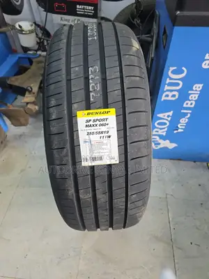 255/55r19 Dunlop Sport Tire