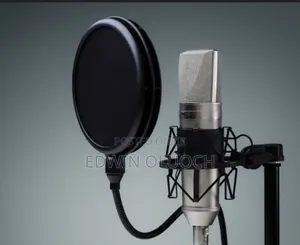 Voice Over Artist